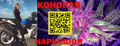 крисы Сланцы