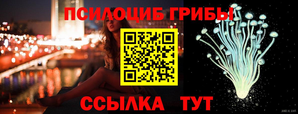 Галлюциногенные грибы GOLDEN TEACHER  Вход с VPN  Псков 