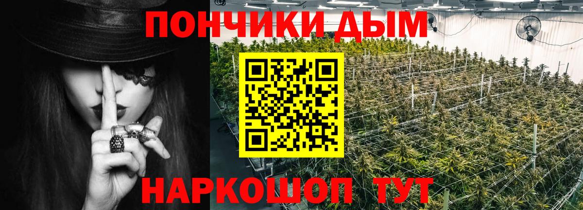 Шишки марихуана план Псков